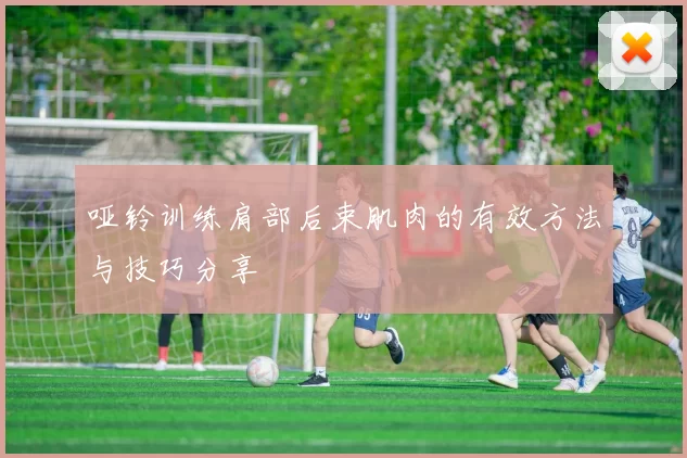 哑铃训练肩部后束肌肉的有效方法与技巧分享