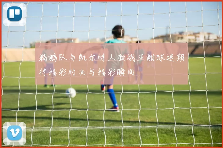 鹈鹕队与凯尔特人激战正酣球迷期待精彩对决与精彩瞬间