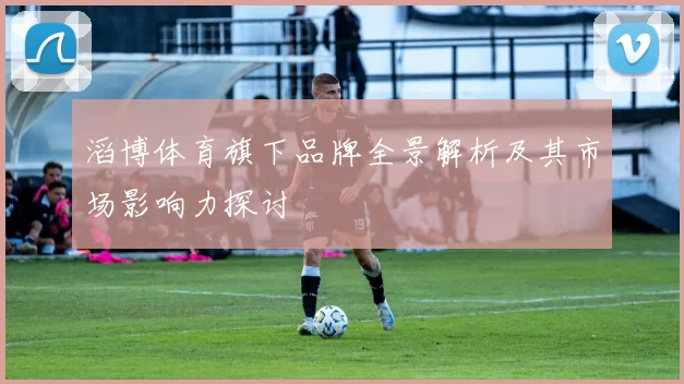 滔博体育旗下品牌全景解析及其市场影响力探讨