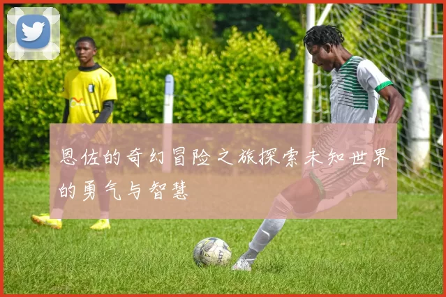 恩佐的奇幻冒险之旅探索未知世界的勇气与智慧