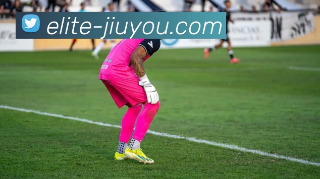 JIUYOU平台生态图